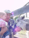 Grandpa at the pumpkin patch5.JPG (569314 bytes)