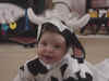 cow_costume_2_3.JPG (102483 bytes)